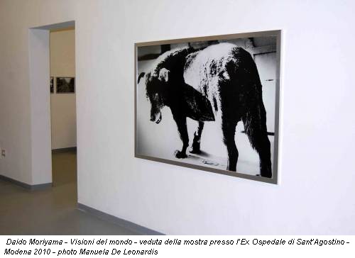 Daido Moriyama - Visioni del mondo - veduta della mostra presso l’Ex Ospedale di Sant’Agostino - Modena 2010 - photo Manuela De Leonardis
