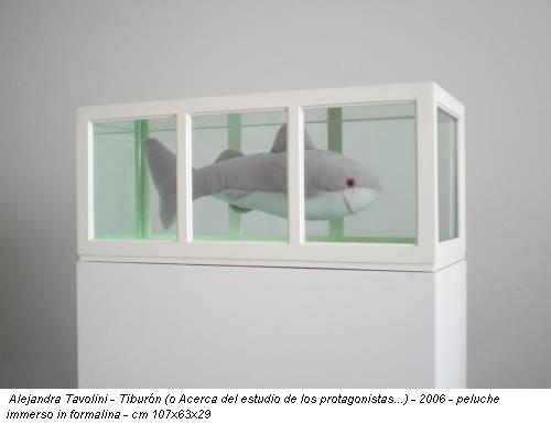 Alejandra Tavolini - Tiburón (o Acerca del estudio de los protagonistas...) - 2006 - peluche immerso in formalina - cm 107x63x29