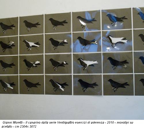 Gianni Moretti - Il canarino dalla serie Ventiquattro esercizi di aderenza - 2010 - monotipi su acetato - cm 2304x 3072