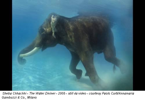 Sheba Chhachhi - The Water Diviner - 2008 - still da video - courtesy Paolo Curti/Annamaria Gambuzzi & Co., Milano