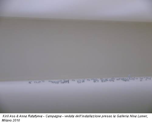 Kiril Ass & Anna Ratafyeva - Campagna - veduta dell’installazione presso la Galleria Nina Lumer, Milano 2010