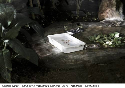 Cynthia Nudel - dalla serie Naturaleza artificial - 2010 - fotografia - cm 97,5x65
