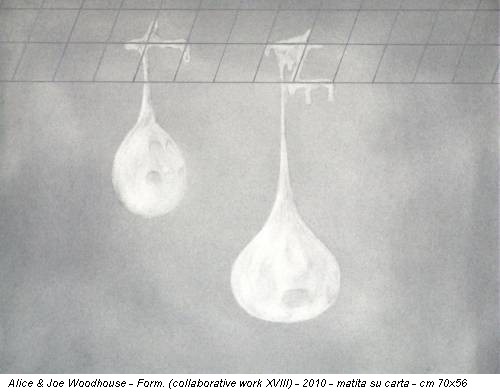Alice & Joe Woodhouse - Form. (collaborative work XVIII) - 2010 - matita su carta - cm 70x56