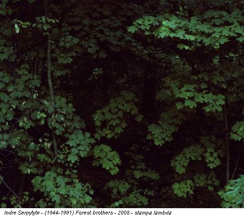 Indre Serpytyte - (1944-1991) Forest brothers - 2008 - stampa lambda