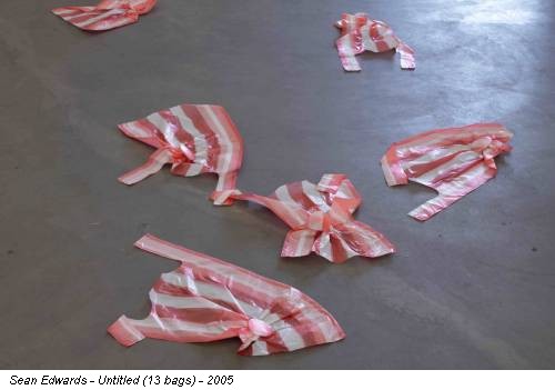 Sean Edwards - Untitled (13 bags) - 2005