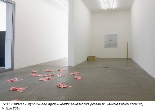 Sean Edwards - Myself Alone Again - veduta della mostra presso la Galleria Enrico Fornello, Milano 2010