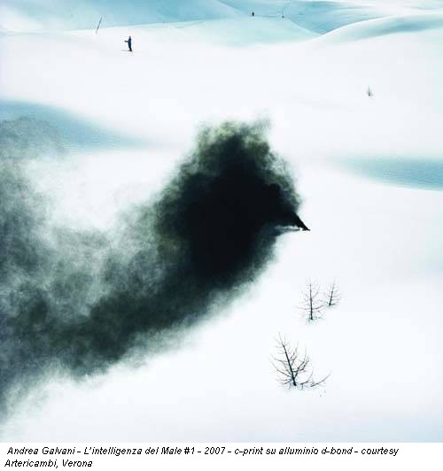 Andrea Galvani - L’intelligenza del Male #1 - 2007 - c-print su alluminio d-bond - courtesy Artericambi, Verona