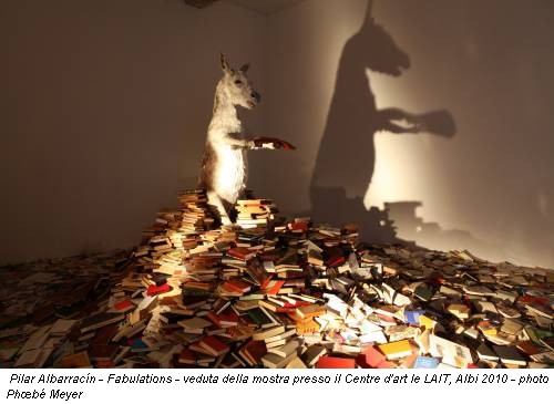Pilar Albarracín - Fabulations - veduta della mostra presso il Centre d'art le LAIT, Albi 2010 - photo Phœbé Meyer