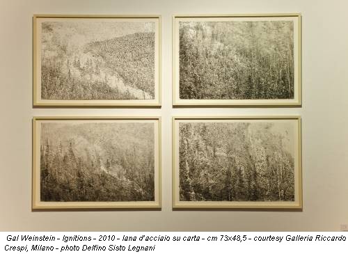 Gal Weinstein - Ignitions - 2010 - lana d’acciaio su carta - cm 73x48,5 - courtesy Galleria Riccardo Crespi, Milano - photo Delfino Sisto Legnani