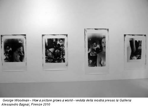 George Woodman - How a picture grows a world - veduta della mostra presso la Galleria Alessandro Bagnai, Firenze 2010