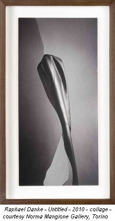 Raphael Danke - Untitled - 2010 - collage - courtesy Norma Mangione Gallery, Torino
