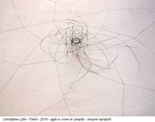Christiane Löhr - Field - 2010 - aghi e crine di cavallo - misure variabili