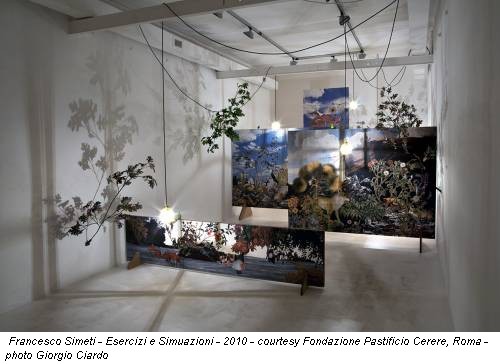 Francesco Simeti - Esercizi e Simuazioni - 2010 - courtesy Fondazione Pastificio Cerere, Roma - photo Giorgio Ciardo