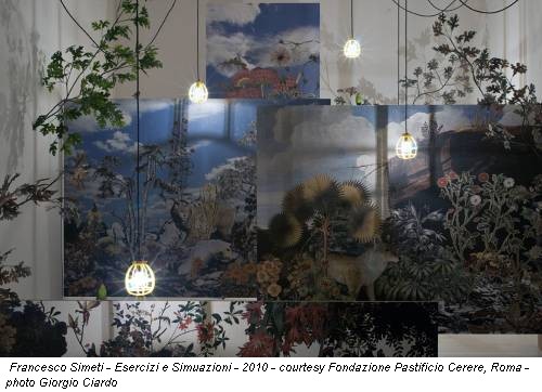 Francesco Simeti - Esercizi e Simuazioni - 2010 - courtesy Fondazione Pastificio Cerere, Roma - photo Giorgio Ciardo