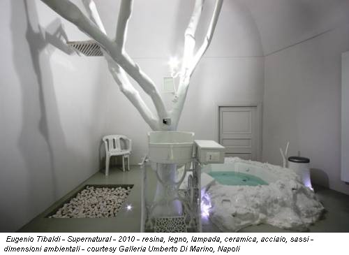 Eugenio Tibaldi - Supernatural - 2010 - resina, legno, lampada, ceramica, acciaio, sassi - dimensioni ambientali - courtesy Galleria Umberto Di Marino, Napoli