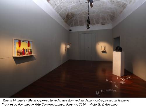 Milena Muzquiz - Mentr'io penso tu vediti questo - veduta della mostra presso la Galleria Francesco Pantaleone Arte Contemporanea, Palermo 2010 - photo G. D'Aguanno