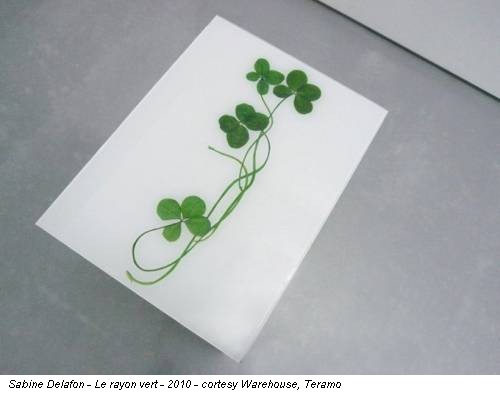 Sabine Delafon - Le rayon vert - 2010 - cortesy Warehouse, Teramo