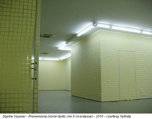 Sophie Usunier - Promemoria (vorrei tanto che ti ricordasse) - 2010 - courtesy l'artista