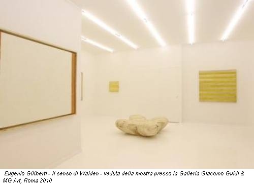 Eugenio Giliberti - Il senso di Walden - veduta della mostra presso la Galleria Giacomo Guidi & MG Art, Roma 2010