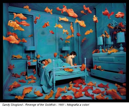 Sandy Skoglund - Revenge of the Goldfish - 1981 - fotografia a colori