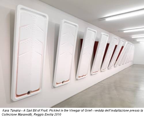 Kara Tanaka - A Sad Bit of Fruit. Pickled in the Vinegar of Grief - veduta dell’installazione presso la Collezione Maramotti, Reggio Emilia 2010