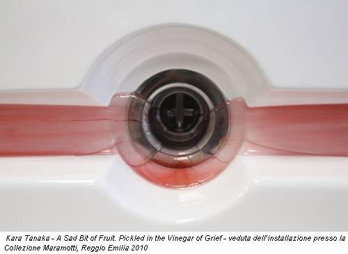 Kara Tanaka - A Sad Bit of Fruit. Pickled in the Vinegar of Grief - veduta dell’installazione presso la Collezione Maramotti, Reggio Emilia 2010