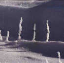 dal 23 marzo al 22 aprile | “Camminando quasi sulla neve”  di Luca  Artioli  | Milano: Galleria Morone |