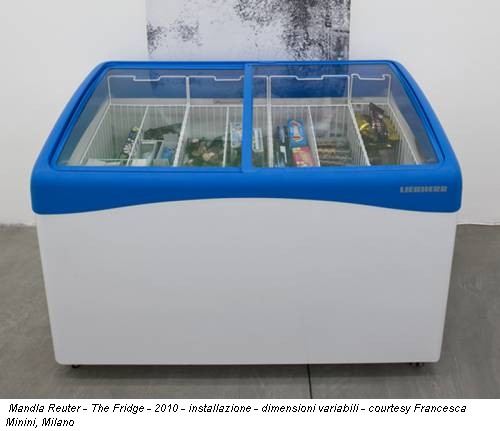 Mandla Reuter - The Fridge - 2010 - installazione - dimensioni variabili - courtesy Francesca Minini, Milano