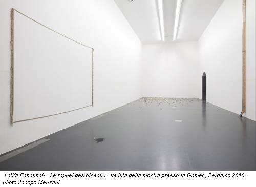 Latifa Echakhch - Le rappel des oiseaux - veduta della mostra presso la Gamec, Bergamo 2010 - photo Jacopo Menzani