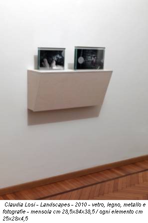 Claudia Losi - Landscapes - 2010 - vetro, legno, metallo e fotografie - mensola cm 28,5x84x38,5 / ogni elemento cm 25x28x4,5