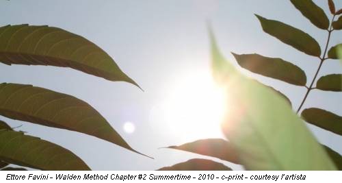 Ettore Favini - Walden Method Chapter #2 Summertime - 2010 - c-print - courtesy l’artista