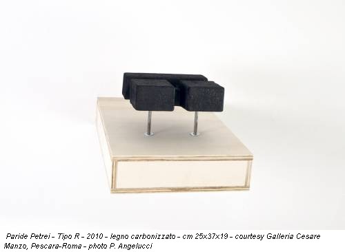 Paride Petrei - Tipo R - 2010 - legno carbonizzato - cm 25x37x19 - courtesy Galleria Cesare Manzo, Pescara-Roma - photo P. Angelucci