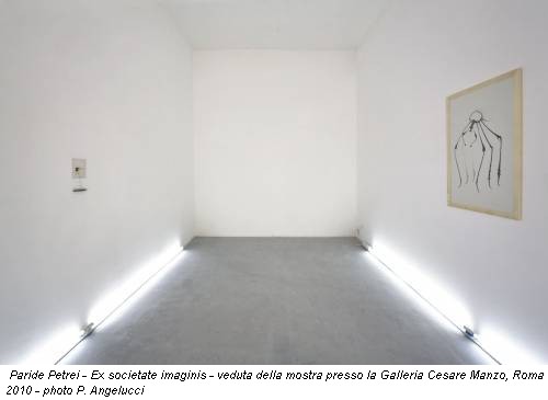 Paride Petrei - Ex societate imaginis - veduta della mostra presso la Galleria Cesare Manzo, Roma 2010 - photo P. Angelucci