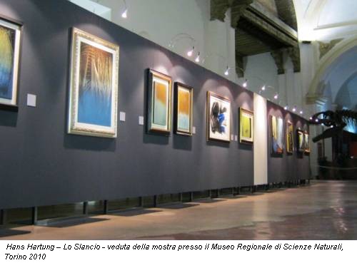 Hans Hartung – Lo Slancio - veduta della mostra presso il Museo Regionale di Scienze Naturali, Torino 2010