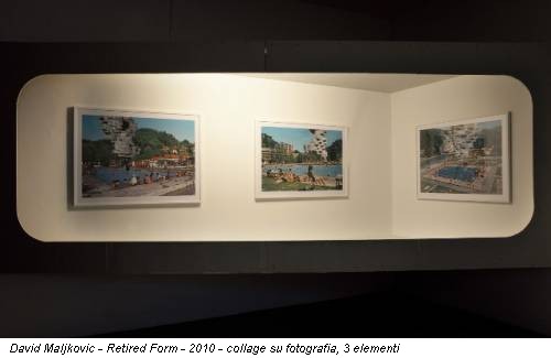 David Maljkovic - Retired Form - 2010 - collage su fotografia, 3 elementi