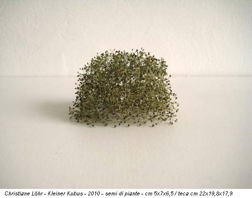 Christiane Löhr - Kleiner Kubus - 2010 - semi di piante - cm 5x7x6,5 / teca cm 22x19,8x17,9