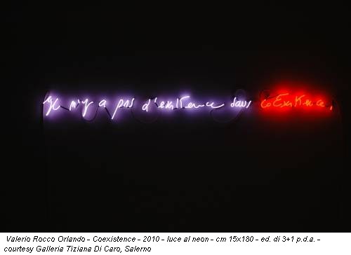 Valerio Rocco Orlando - Coexistence - 2010 - luce al neon - cm 15x180 - ed. di 3+1 p.d.a. - courtesy Galleria Tiziana Di Caro, Salerno