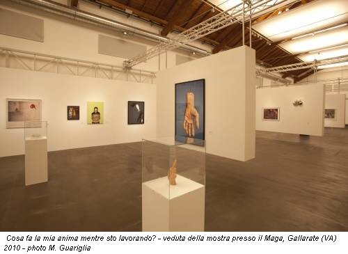 Cosa fa la mia anima mentre sto lavorando? - veduta della mostra presso il Maga, Gallarate (VA) 2010 - photo M. Guariglia