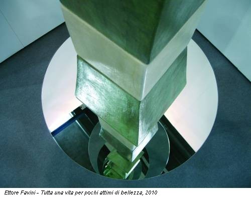 Ettore Favini - Tutta una vita per pochi attimi di bellezza, 2010