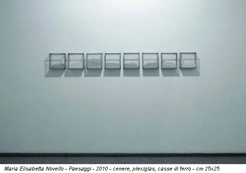 Maria Elisabetta Novello - Paesaggi - 2010 - cenere, plexiglas, casse di ferro - cm 25x25