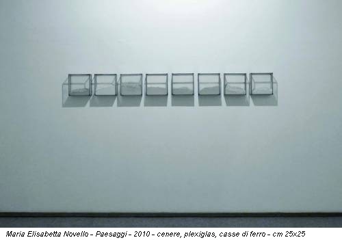 Maria Elisabetta Novello - Paesaggi - 2010 - cenere, plexiglas, casse di ferro - cm 25x25