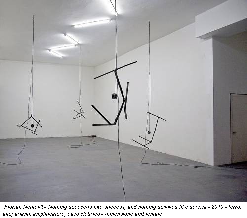 Florian Neufeldt - Nothing succeeds like success, and nothing survives like serviva - 2010 - ferro, altoparlanti, amplificatore, cavo elettrico - dimensione ambientale