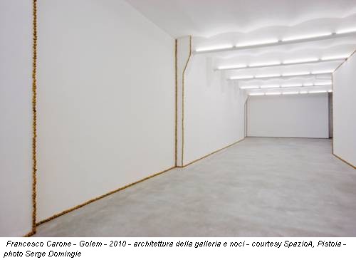 Francesco Carone - Golem - 2010 - architettura della galleria e noci - courtesy SpazioA, Pistoia - photo Serge Domingie