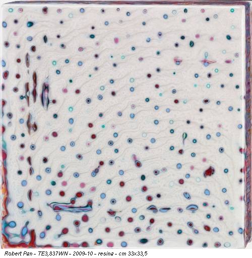 Robert Pan - TE3,837WN - 2009-10 - resina - cm 33x33,5