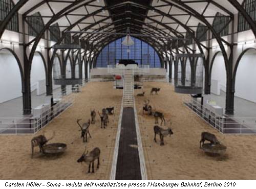 Carsten Höller - Soma - veduta dell’installazione presso l’Hamburger Bahnhof, Berlino 2010