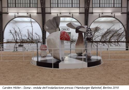 Carsten Höller - Soma - veduta dell’installazione presso l’Hamburger Bahnhof, Berlino 2010