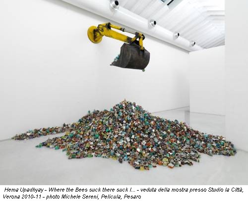 Hema Upadhyay - Where the Bees suck there suck I... - veduta della mostra presso Studio la Città, Verona 2010-11 - photo Michele Sereni, Pelicula, Pesaro