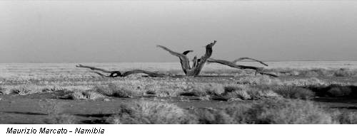 Maurizio Marcato - Namibia
