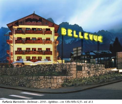 Raffaela Mariniello - Bellevue - 2010 - lightbox - cm 135x165x12,5 - ed. di 3