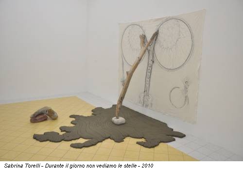 Sabrina Torelli - Durante il giorno non vediamo le stelle - 2010